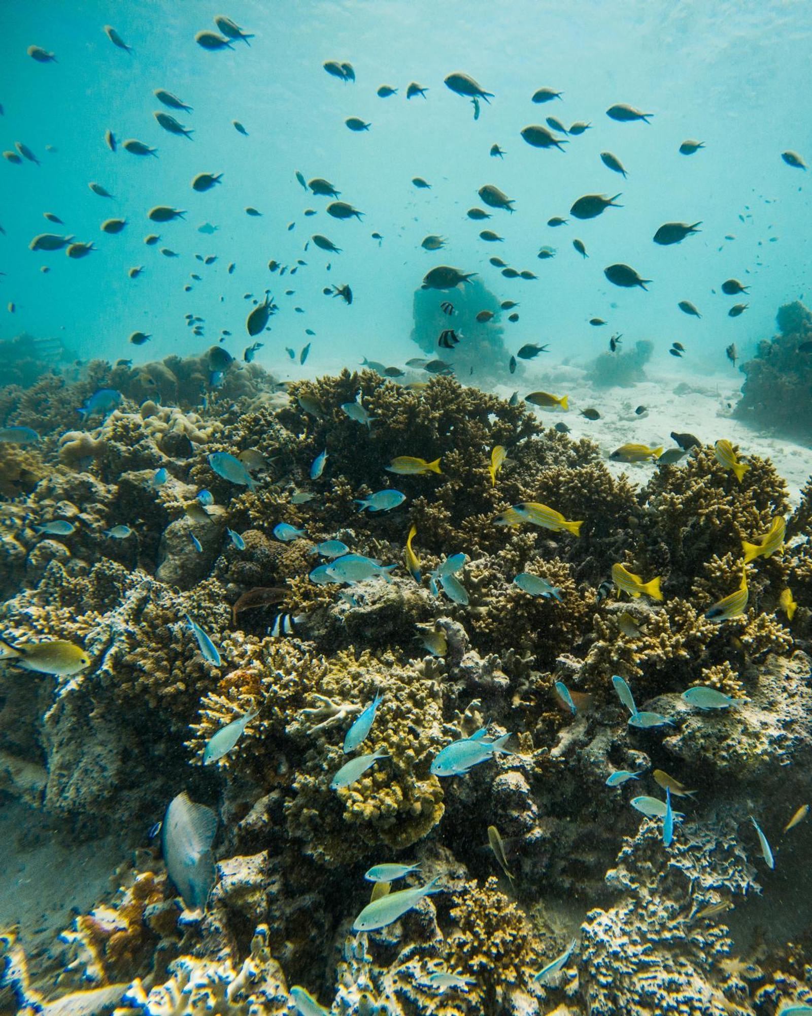 Hotel Grand Park Kodhipparu Maldives Baros Island Exterior foto